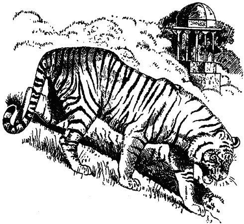 Храмовый тигр. Иллюстрация № 3