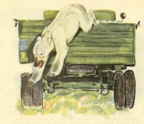 Медвежонок Васька. Иллюстрация № 5