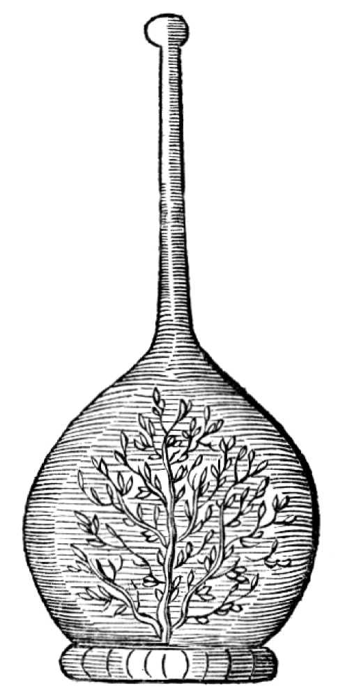 Цветы зла: Безумная ботаника. 1844-1900. Иллюстрация № 2