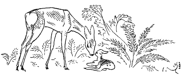 Окаменевшие волки. Иллюстрация № 4