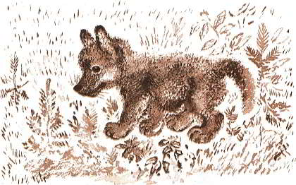Волчишко. Иллюстрация № 3