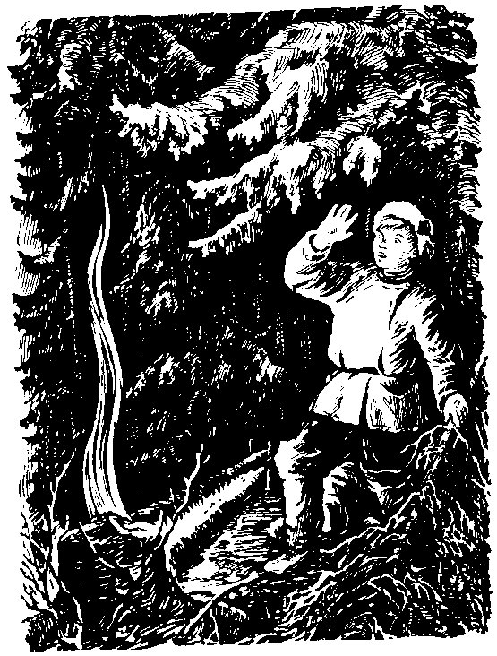 Огненное болото. Иллюстрация № 10