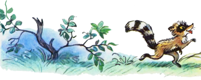 Крошка Енот и тот, кто сидит в пруду. Иллюстрация № 2