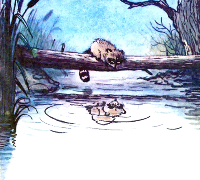 Крошка Енот и тот, кто сидит в пруду. Иллюстрация № 7