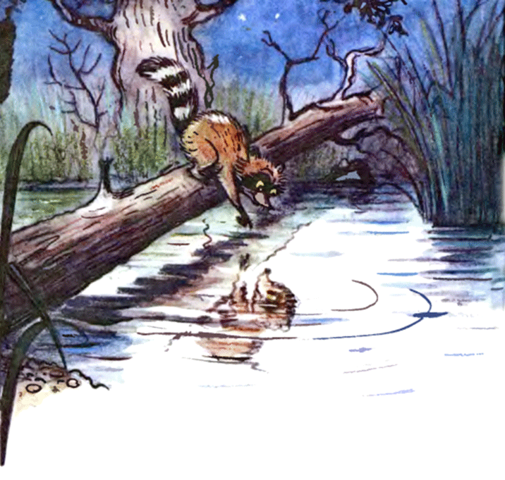 Муур крошка. Сказка Лилиан муур «крошка енот и тот, кто сидит в пруду». Муур крошка енот. Муур л. "крошка енот.".