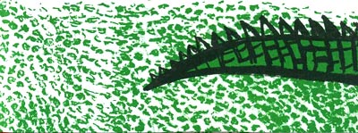 Крокодил под кроватью. Иллюстрация № 4