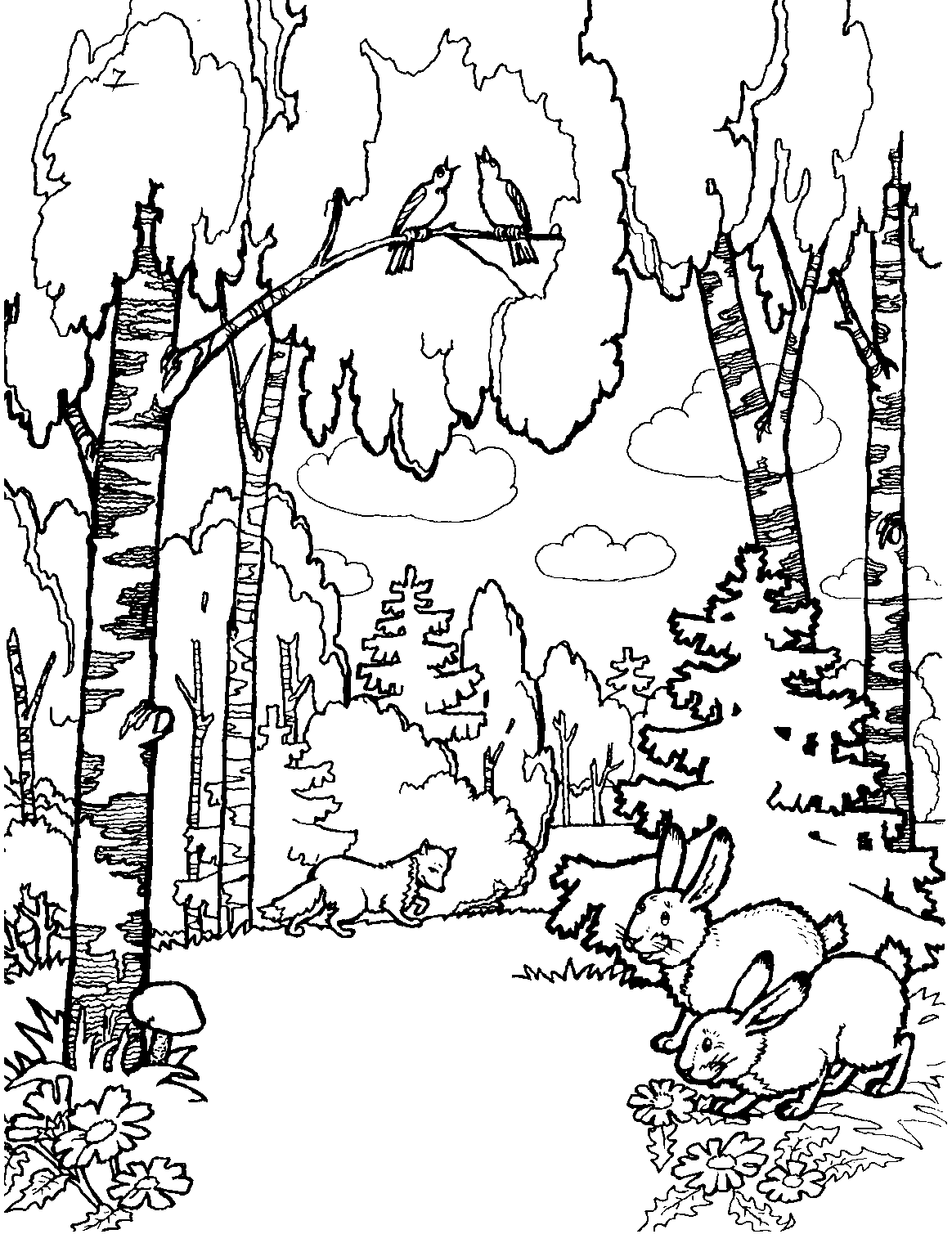 Рисунок леса для детей раскраска