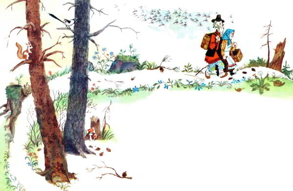 Лесной колобок — колючий бок. Иллюстрация № 2