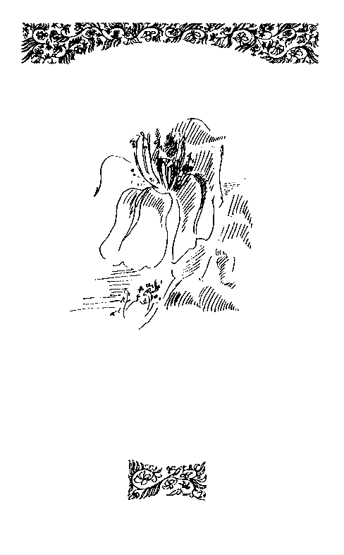 Священный цветок. Иллюстрация № 2