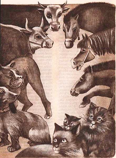 Соседи по планете: Домашние животные. Иллюстрация № 20