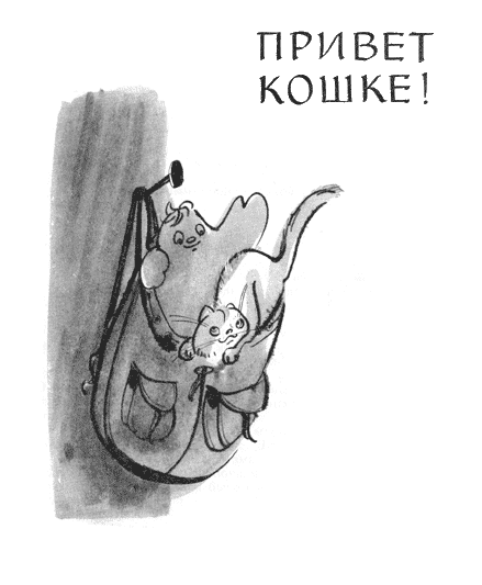 Привет кошке!. Иллюстрация № 3