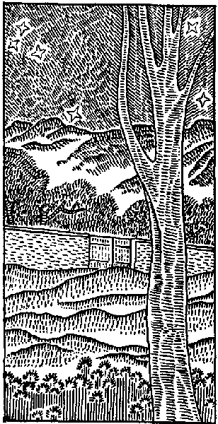 Гамадриады подстерегают в саду. Иллюстрация № 1