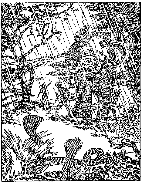 Гамадриады подстерегают в саду. Иллюстрация № 2