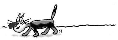 Кіт без прикрас. Иллюстрация № 1
