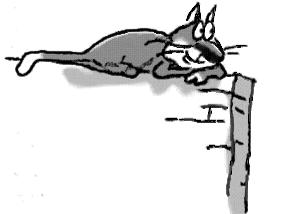 Кіт без прикрас. Иллюстрация № 3
