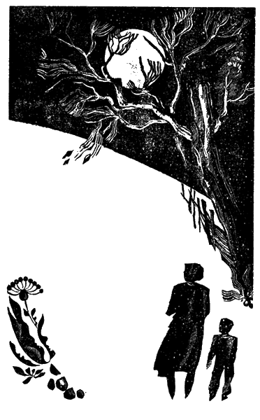 Звездопад. Иллюстрация № 4