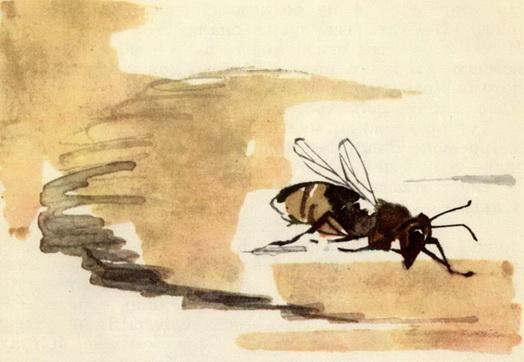 У меня дома пчела. Иллюстрация № 4