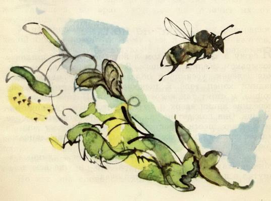У меня дома пчела. Иллюстрация № 7