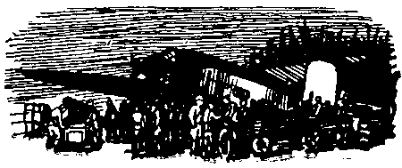 Петька Дёров. Иллюстрация № 44