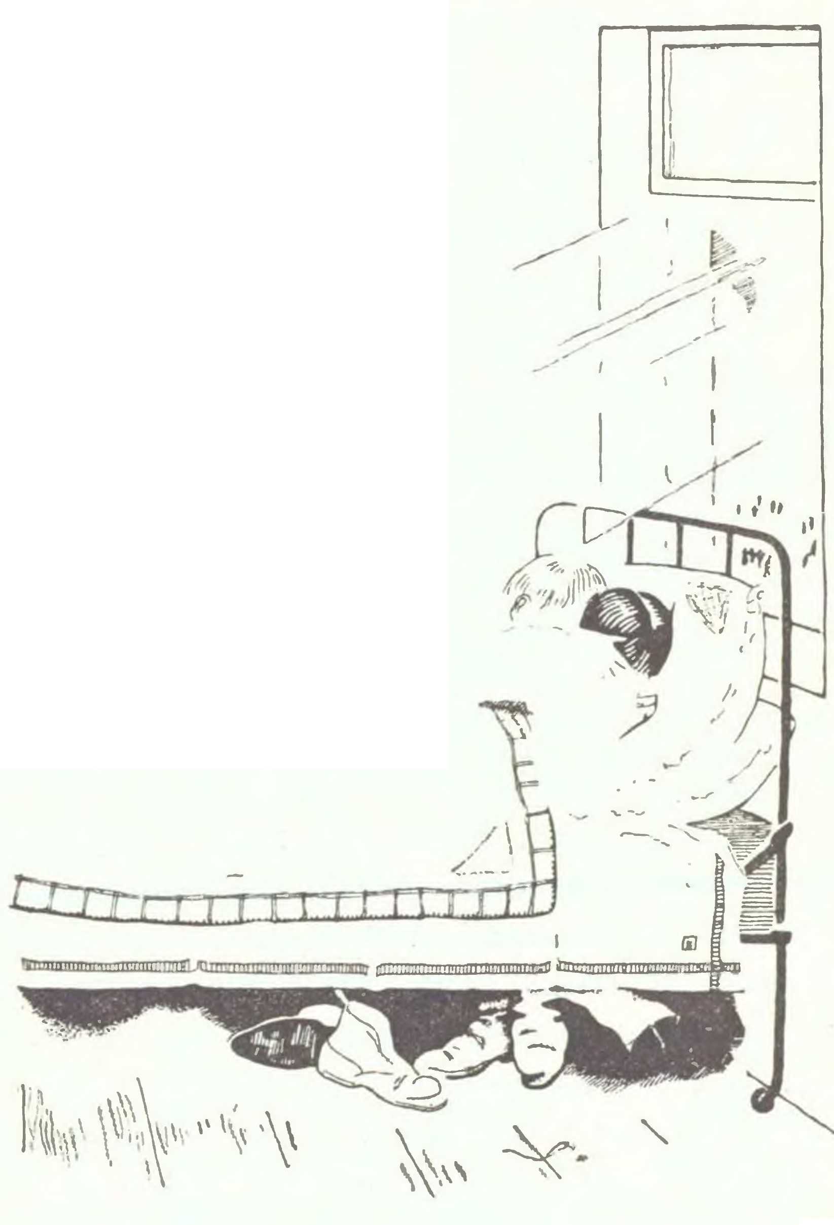 Зуёк Койзмэн и кок Асей. Иллюстрация № 27