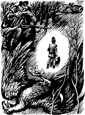 Абель в глухом лесу. Иллюстрация № 1