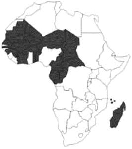 Военные операции Франции в Африке. Иллюстрация № 2
