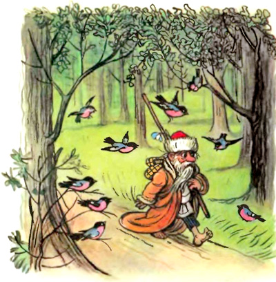 Лесной плакунчик (рис. Сутеева). Иллюстрация № 13