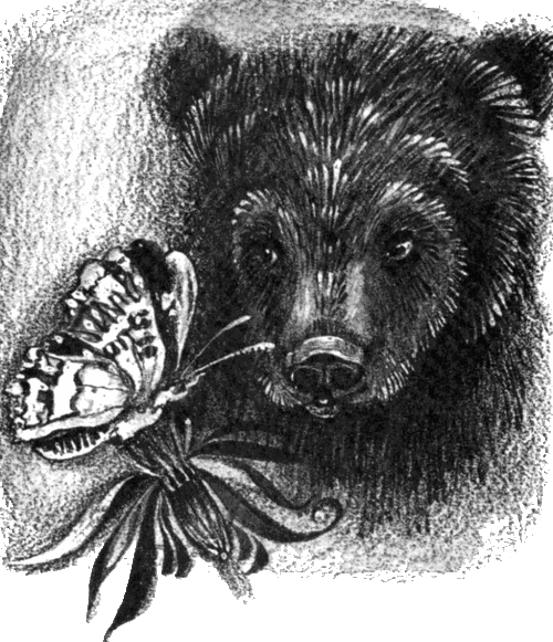 Медведь и бабочка. Иллюстрация № 1