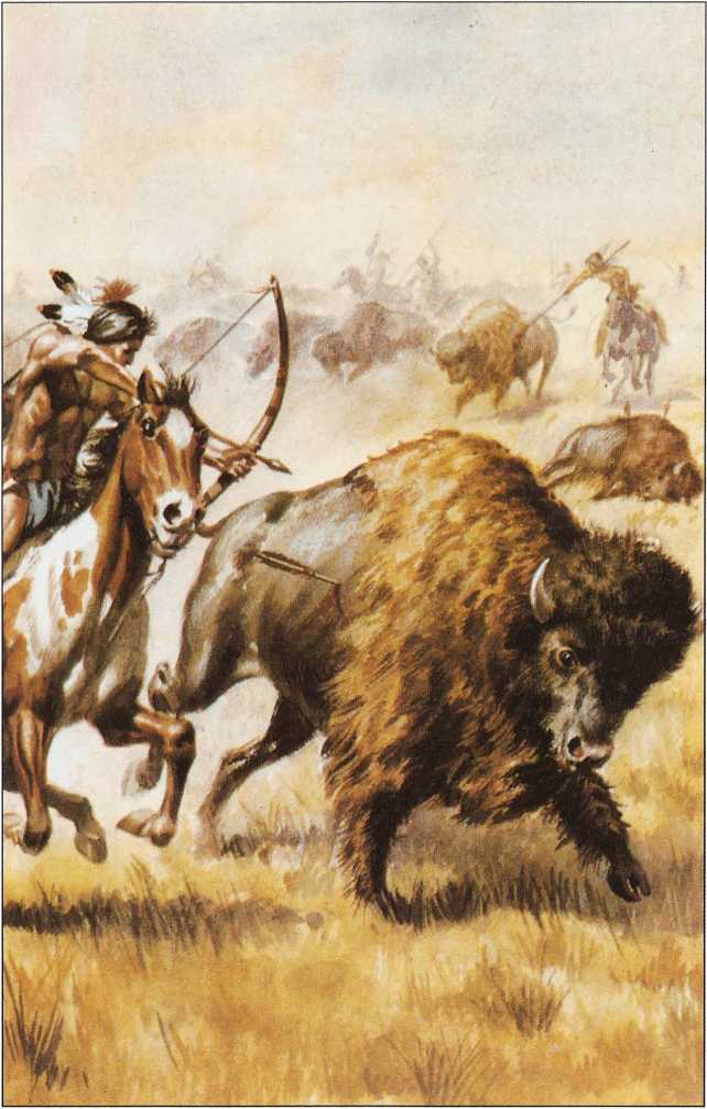 Охотились на бизонов. Индейцы охотники на бизонов. "Пираты. Индейцы. Ковбои. Пич дю Гард". Индейцы охотятся на бизонов. Охота индейцев на бизонов.
