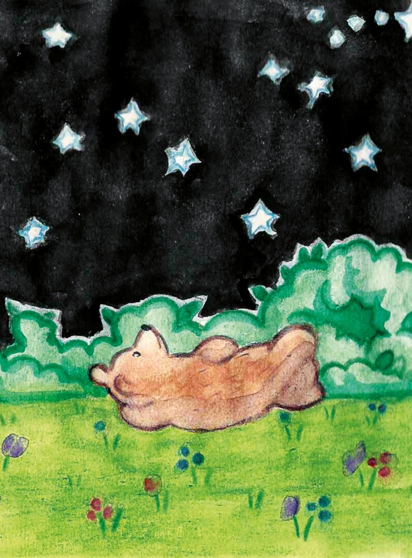Где медведи на небе?. Иллюстрация № 7