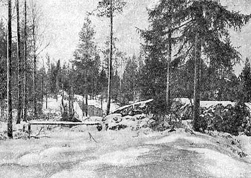 Бесстрашные саперы на финском фронте. Иллюстрация № 3