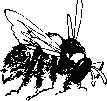 Пчелиная напасть. Иллюстрация № 1