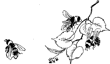 Пчелиная напасть. Иллюстрация № 2