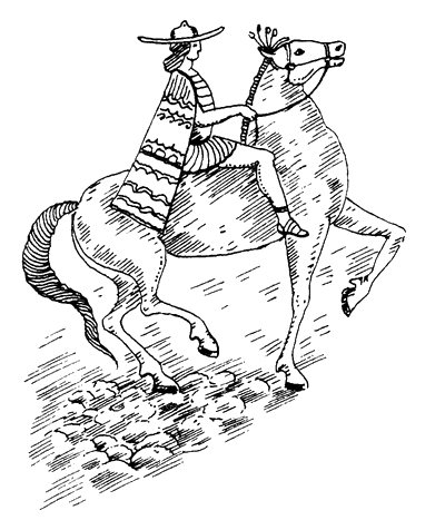 История лошади в истории человечества . Иллюстрация № 1