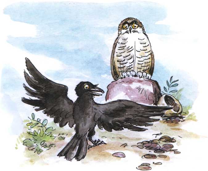 О честном вороне, коварной сове и глупом лисе (Эскимосские сказки). Иллюстрация № 9