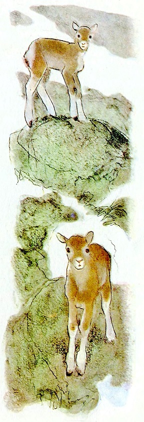 Крэг — кутенейский баран. Иллюстрация № 6