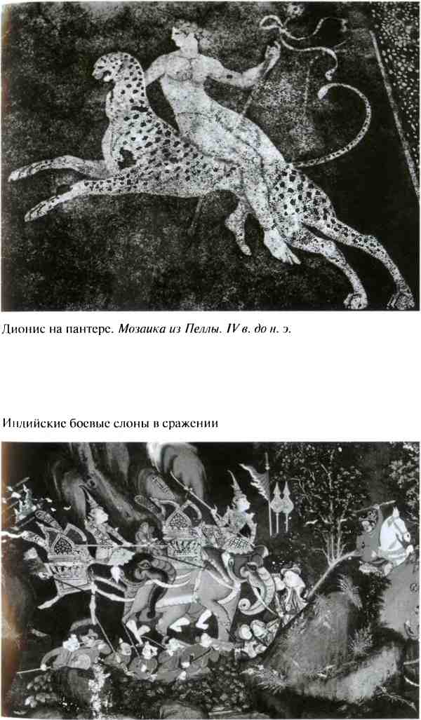 Повседневная жизнь армии Александра Македонского. Иллюстрация № 15
