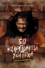 Бестселлер - Александр Евгеньевич Синеркин - 50 кирпичей успеха - читать в ЛитВек