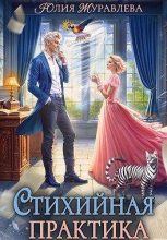 Бестселлер - Юлия Викторовна Журавлева - Стихийная практика - читать в Литвек