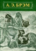 Бестселлер - Альфред Эдмунд Брэм - Жизнь животных Том I Млекопитающие - читать в ЛитВек