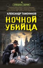 Бестселлер - Александр Александрович Тамоников - Ночной убийца - читать в Литвек